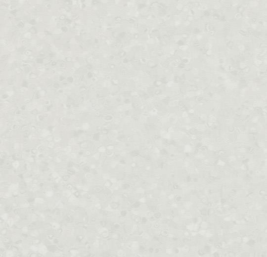 50000 white
