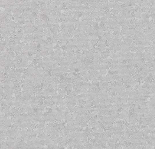 50008 silver grey