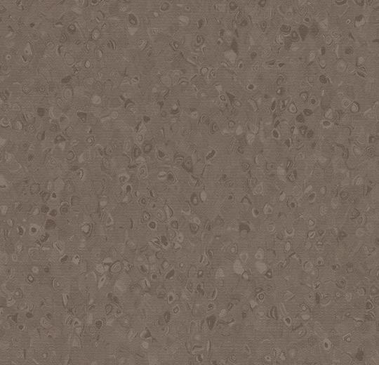 50021 truffle