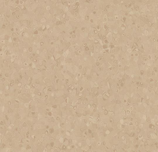 50024 stone