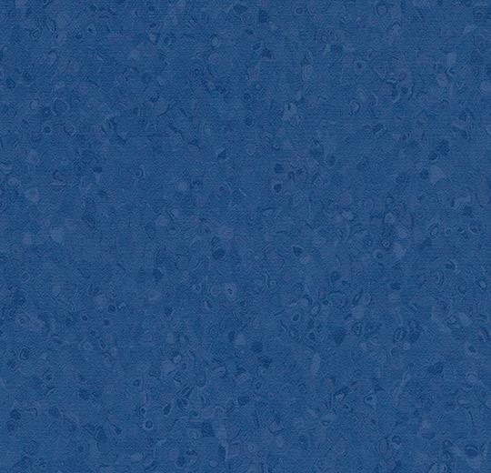 50039 navy