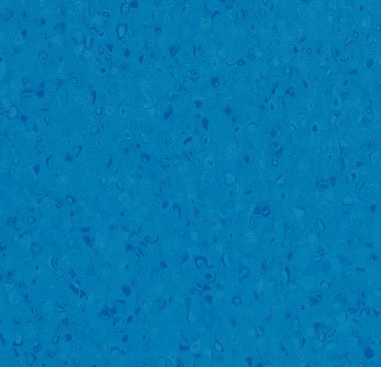 50042 cerulean