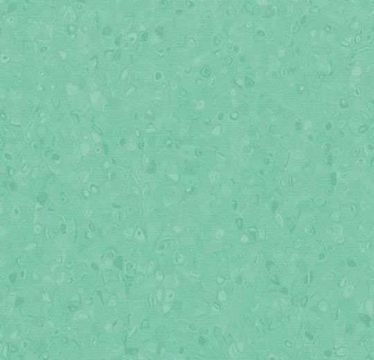 50045 jade