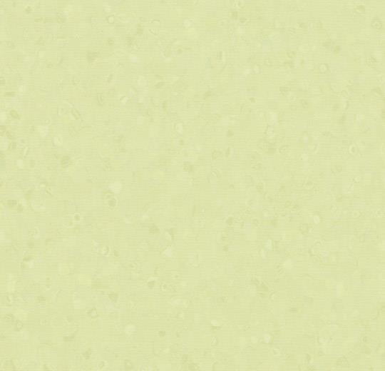 50048 pistachio