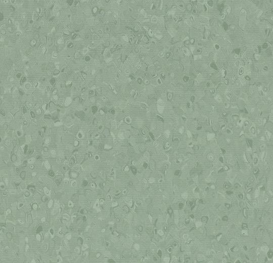 50050 olive