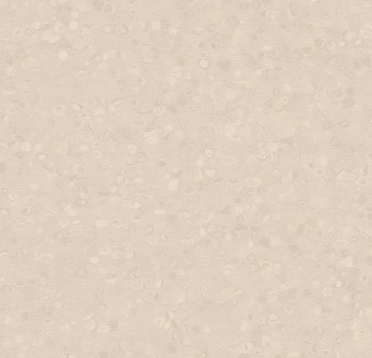 50055 powder