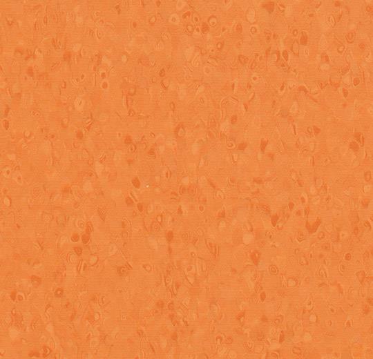 50057 tangerine