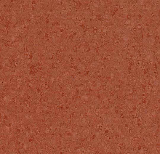 50061 saddle brown