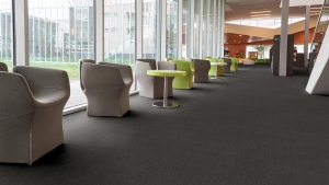 İQ OPTIMA Koleksiyon Görselleri