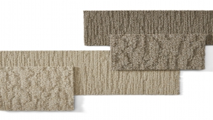 CARVED Koleksiyon Görselleri