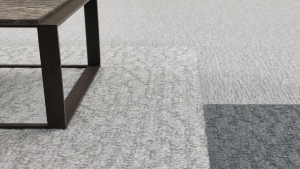 CARVED Koleksiyon Görselleri