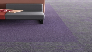 ESSENCE MAZE Koleksiyon Görselleri