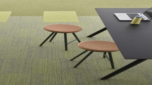 ESSENCE STRİPE Koleksiyon Görselleri