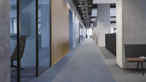 ESSENCE STRİPE Koleksiyon Görselleri