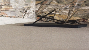 FORTO Koleksiyon Görselleri